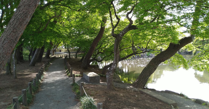 盛岡中央公民館御薬園4