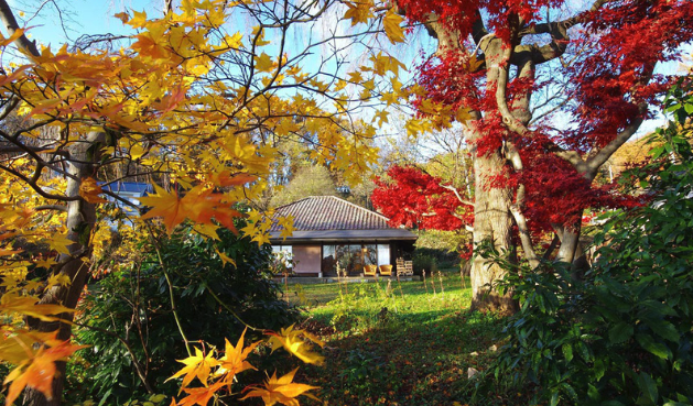 紅葉に包まれた「time & space 愛宕下」