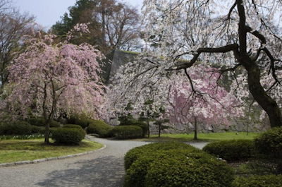盛岡城跡公園(岩手公園)