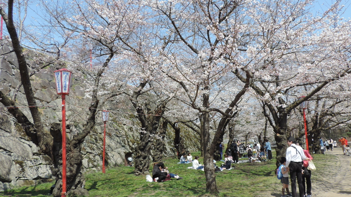 盛岡城跡公園(2024-4-13撮影)