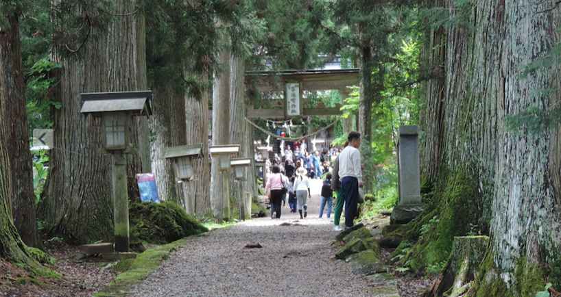 巨木の立ち並ぶ早池峯神社参道