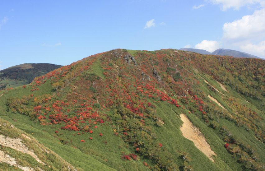 秋の岩手山・網張より