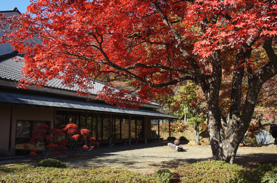 盛岡中央公民館(旧南部氏別邸庭園)の紅葉