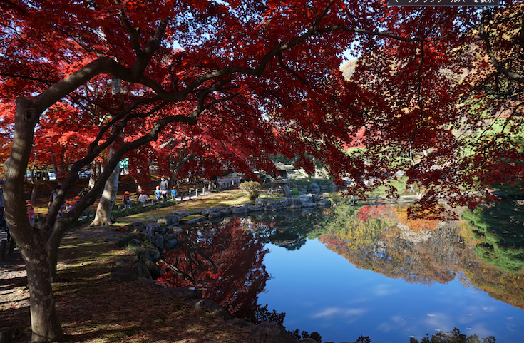 盛岡中央公民館・池泉回遊式庭園の紅葉