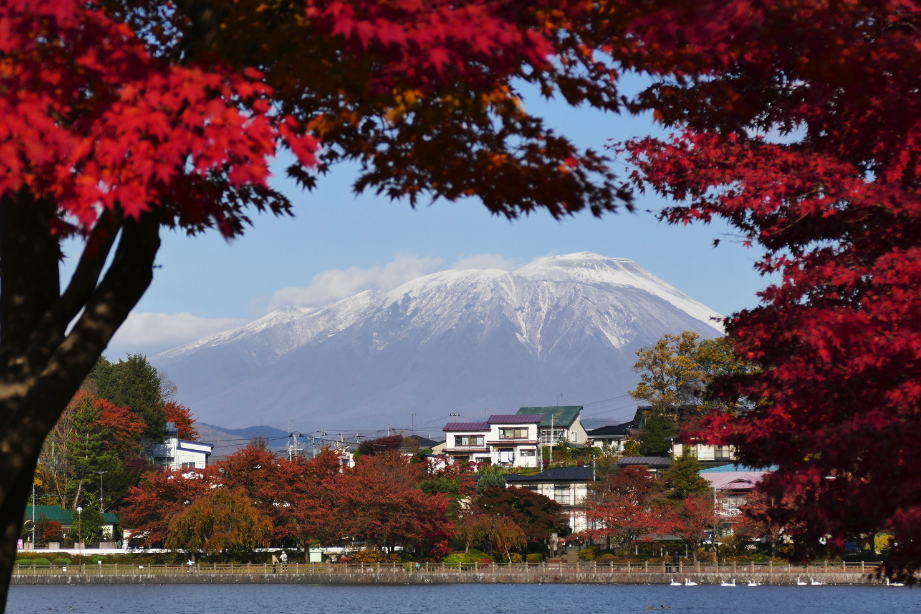 高松の池の紅葉