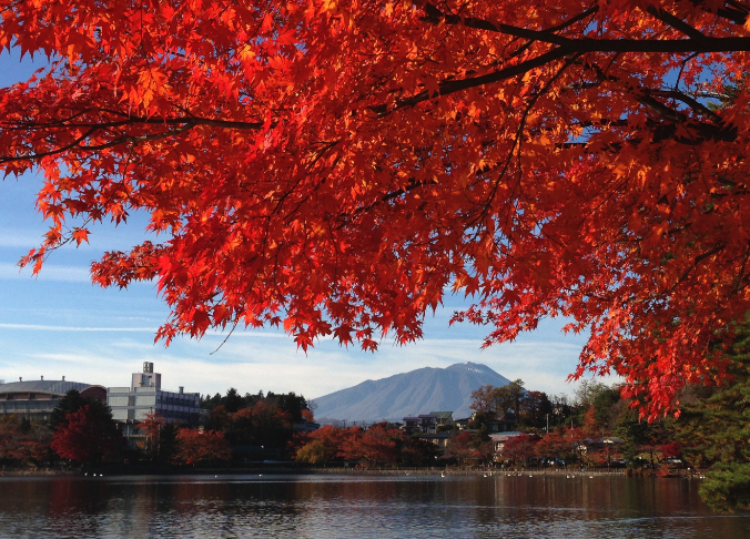 高松の池の紅葉