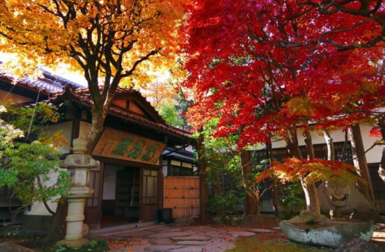 南昌荘の紅葉