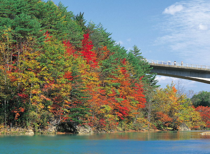 森の大橋の紅葉