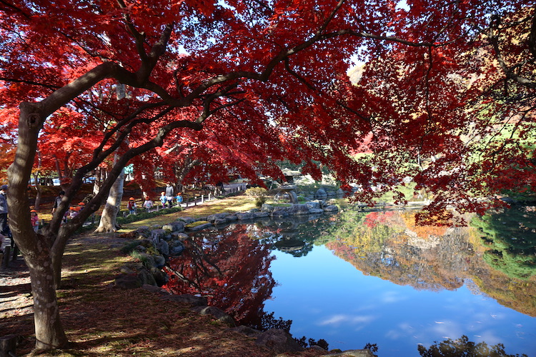 旧南部氏別邸庭園の美しい紅葉