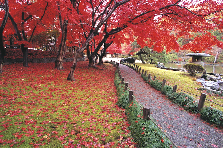 池泉回遊式庭園の散策コース