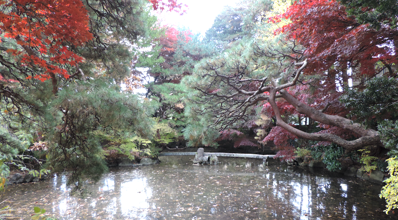 池を包み込むような紅葉の木々