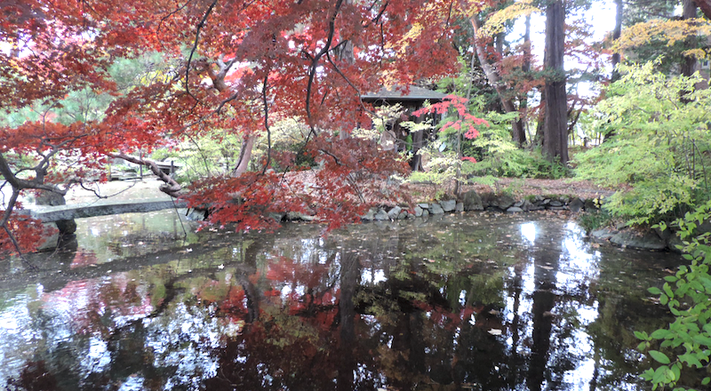石橋と東屋の紅葉を別の角度から撮影