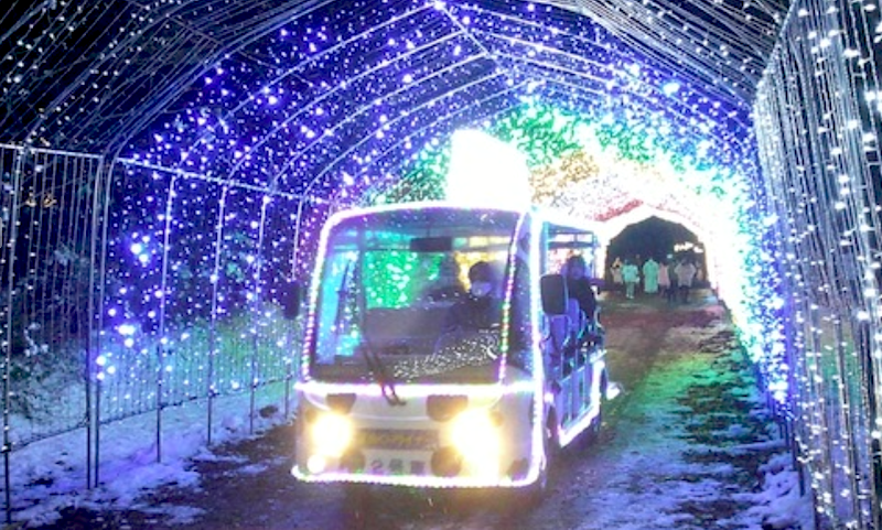 2023年のイルミネーション(写真-6)