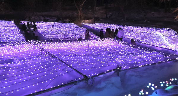 石神の丘 イベント ｜イルミネーション 2025 冬の花畑