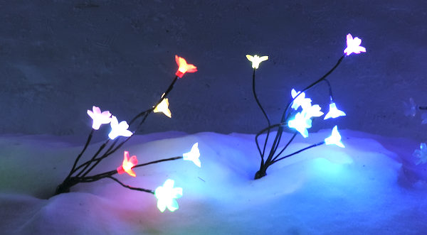 石神の丘 イベント ｜イルミネーション 2025 冬の花畑「花」