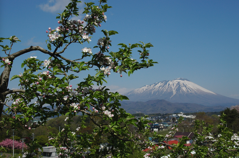 春の岩手山-①