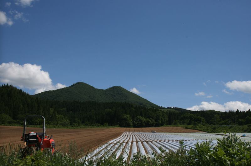 八幡平市_七時雨山②_（夏）