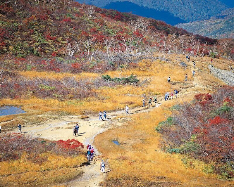秋の栗駒山(昭和湖付近)