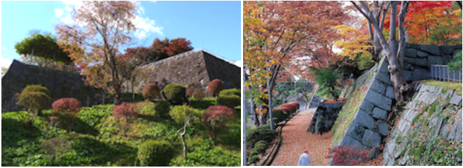 散歩するだけでも心和む、秋の盛岡城跡公園・石垣。