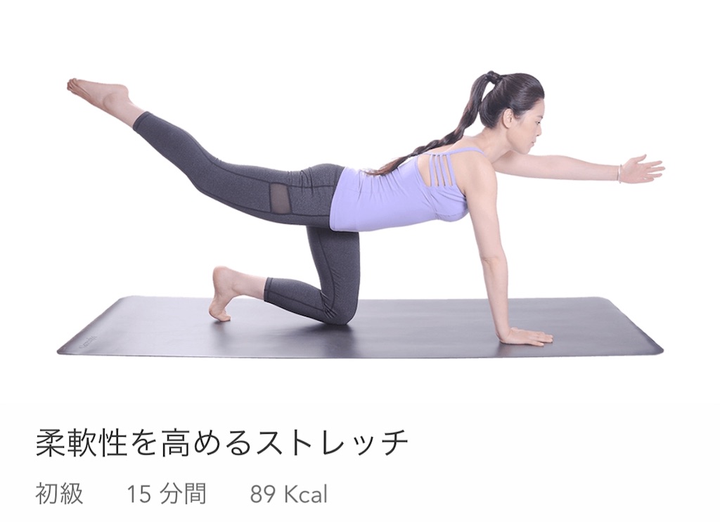 f:id:joumonjin:20180318211855j:image f:id:joumonjin:20180318211855j:image