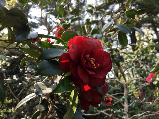 イメージ 9
