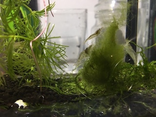 イメージ 6