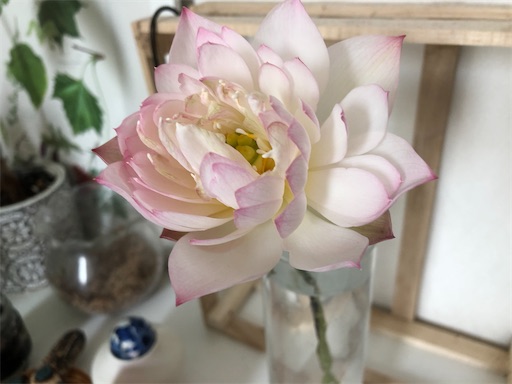 f:id:journal-hannah:20220809194132j:image