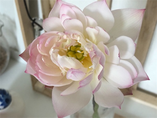 f:id:journal-hannah:20220809194135j:image
