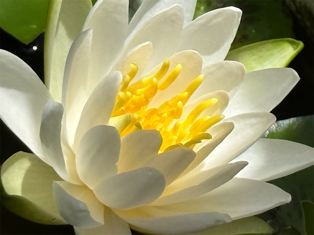 f:id:journal-hannah:20240626200237j:image