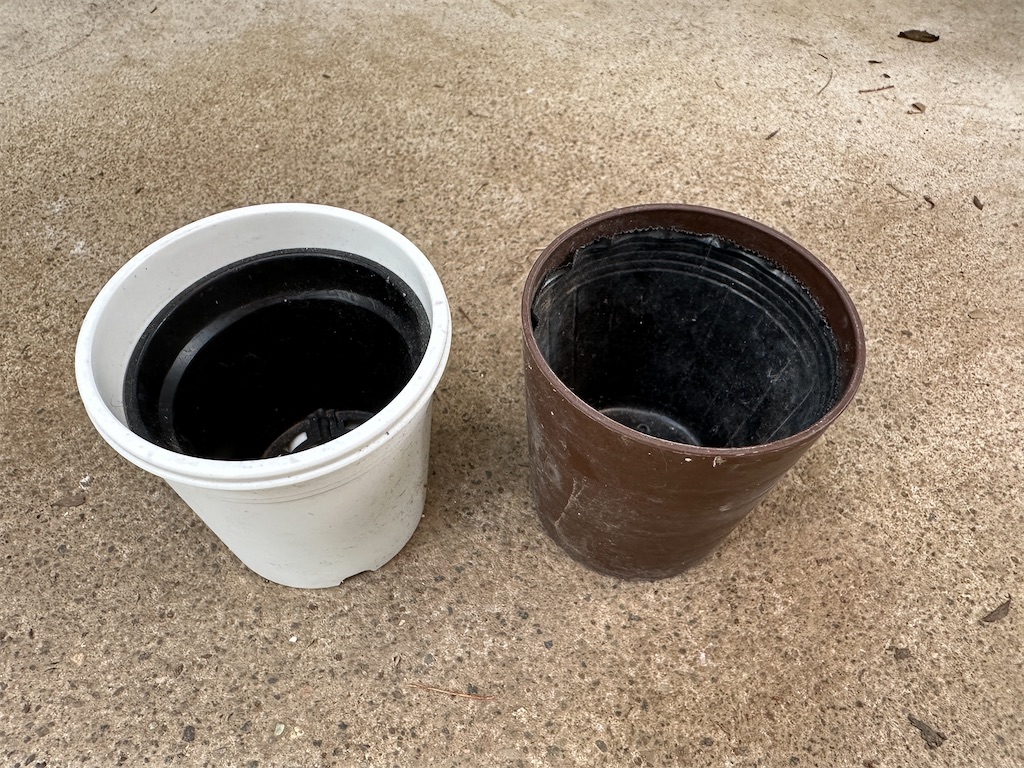 f:id:journal-hannah:20251005131245j:image