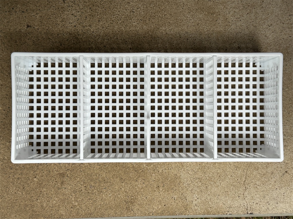 f:id:journal-hannah:20251006213502j:image