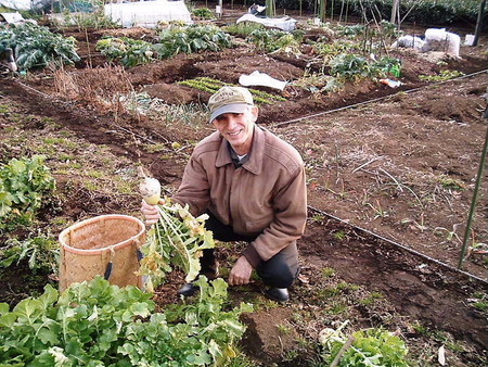 garden