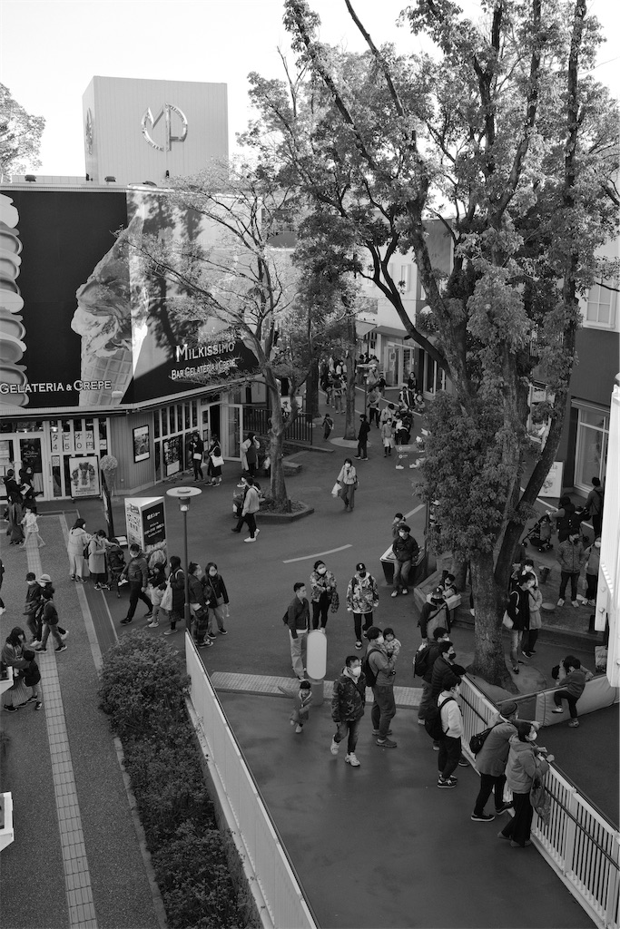 f:id:journey-neko:20210321013823j:image f:id:journey-neko:20210321013823j:image