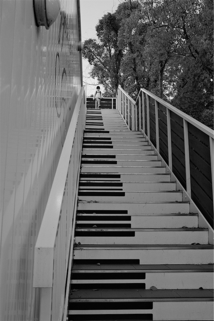 f:id:journey-neko:20210321013848j:image f:id:journey-neko:20210321013848j:image