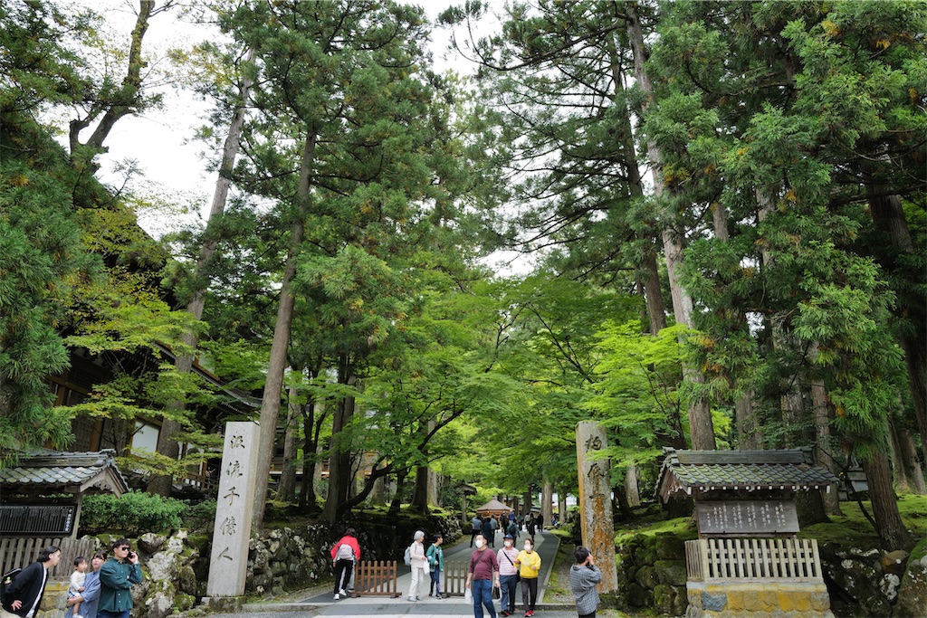 f:id:journey-neko:20231016031241j:image f:id:journey-neko:20231016031241j:image
