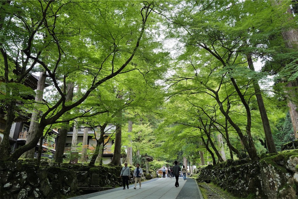 f:id:journey-neko:20231016031308j:image f:id:journey-neko:20231016031308j:image