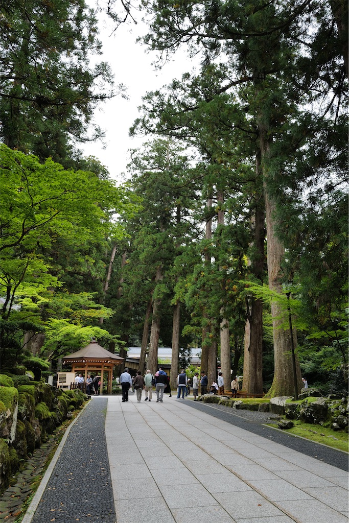 f:id:journey-neko:20231016031335j:image f:id:journey-neko:20231016031335j:image