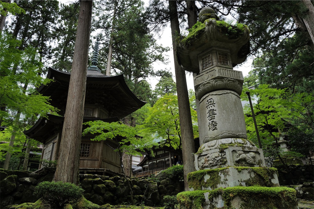 f:id:journey-neko:20231016031354j:image f:id:journey-neko:20231016031354j:image