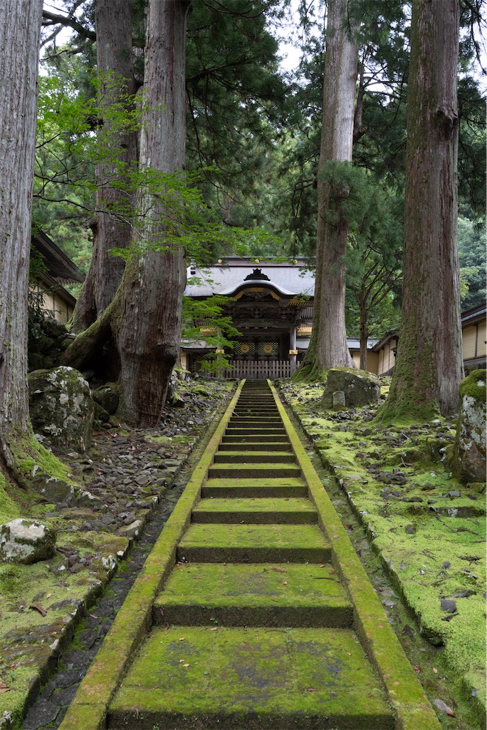 f:id:journey-neko:20231016031358j:image f:id:journey-neko:20231016031358j:image