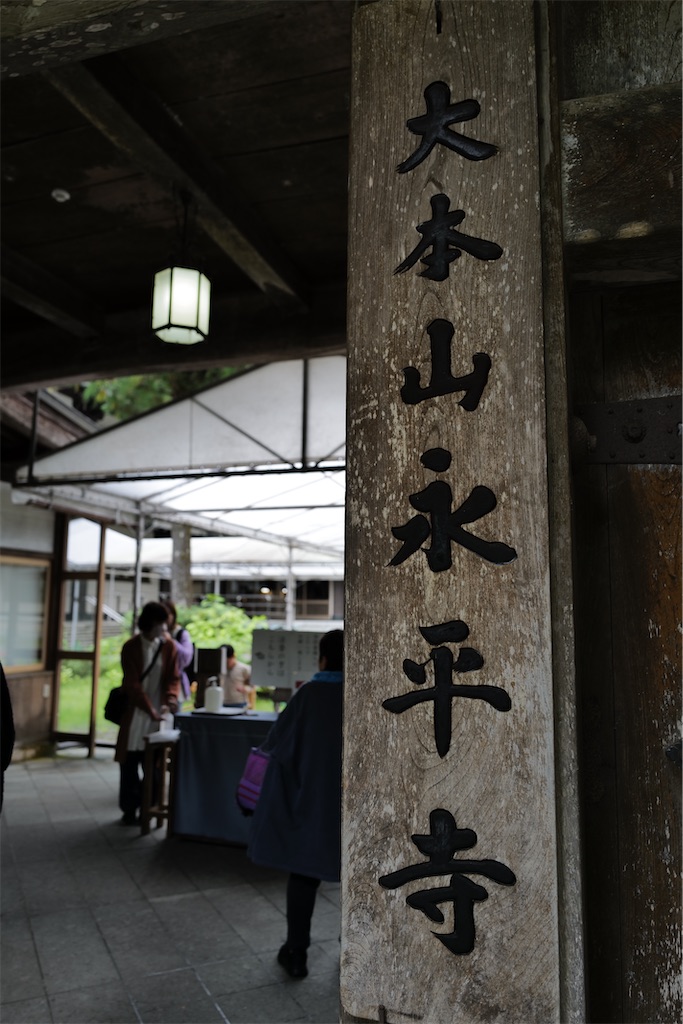 f:id:journey-neko:20231016031419j:image f:id:journey-neko:20231016031419j:image