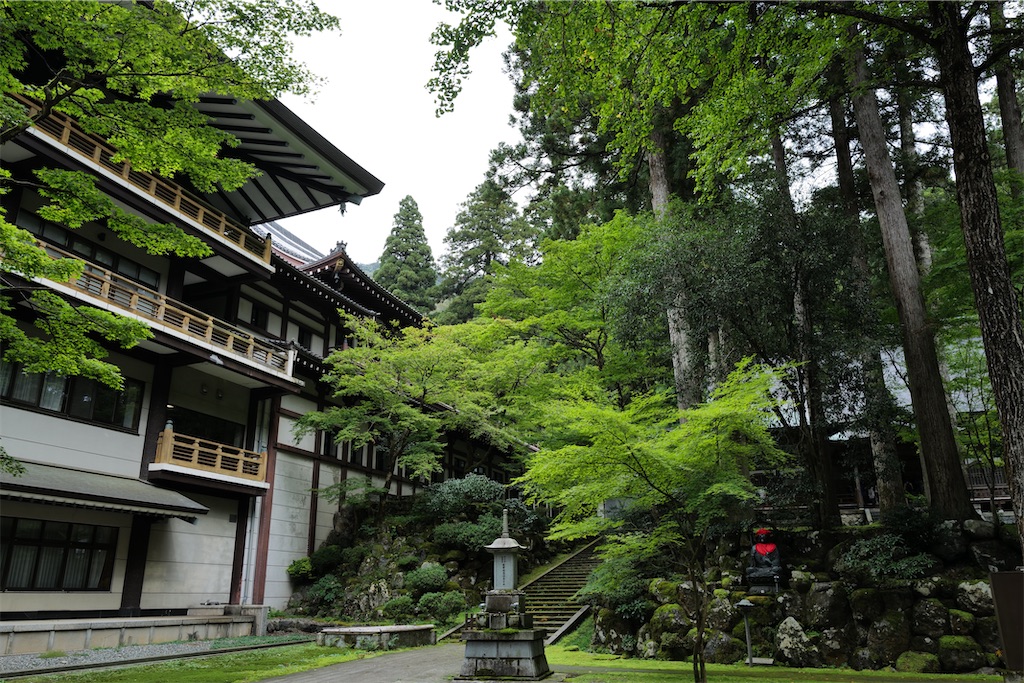 f:id:journey-neko:20231016031434j:image f:id:journey-neko:20231016031434j:image
