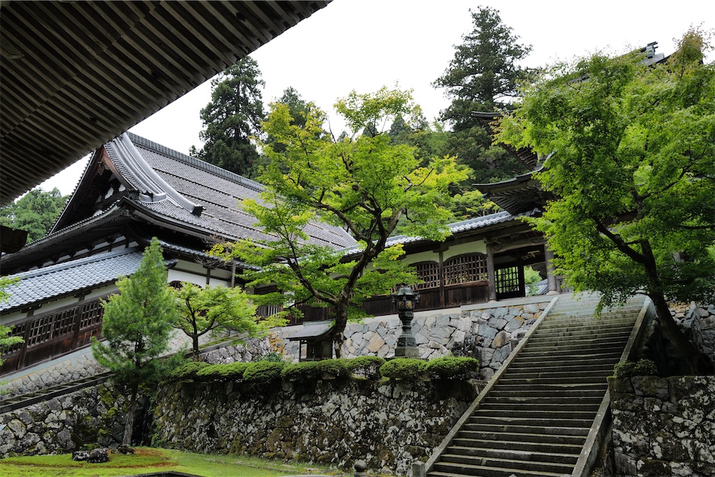 f:id:journey-neko:20231016031759j:image f:id:journey-neko:20231016031759j:image