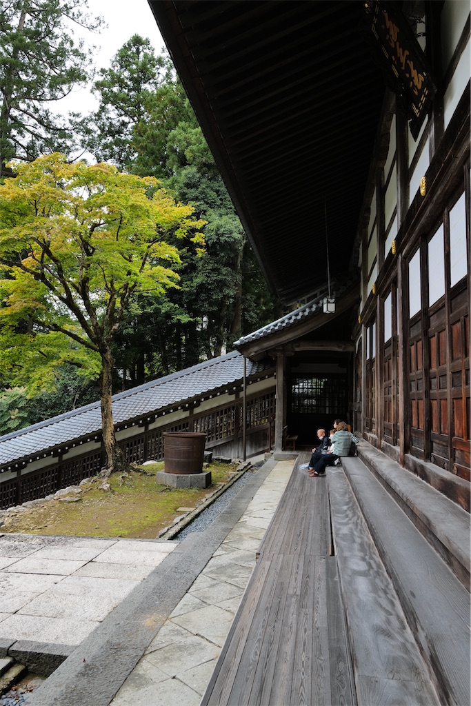 f:id:journey-neko:20231016031832j:image f:id:journey-neko:20231016031832j:image