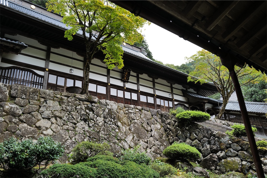 f:id:journey-neko:20231016031835j:image f:id:journey-neko:20231016031835j:image