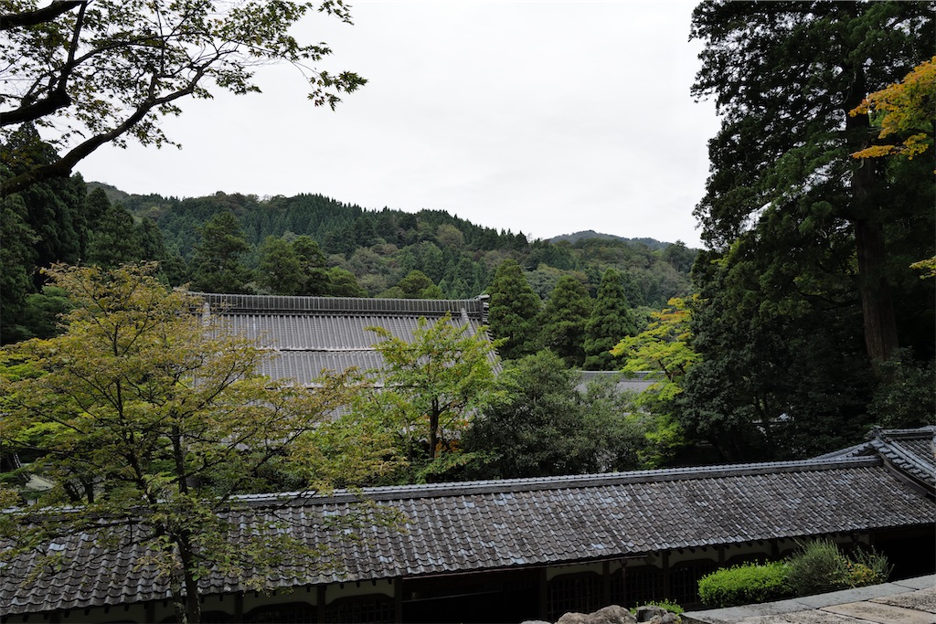 f:id:journey-neko:20231016031842j:image f:id:journey-neko:20231016031842j:image