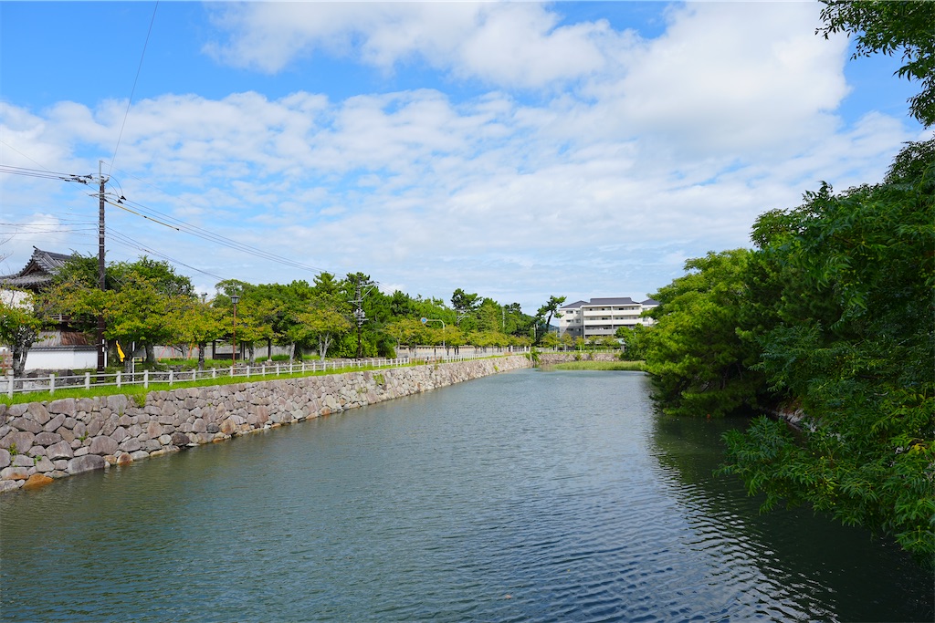 f:id:journey-neko:20251005205112j:image