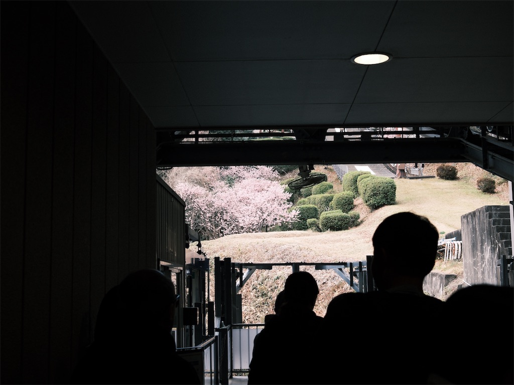 f:id:journey-neko:20260321140759j:image f:id:journey-neko:20260321140759j:image