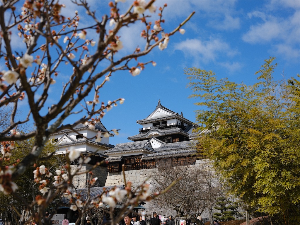 f:id:journey-neko:20260321141046j:image f:id:journey-neko:20260321141046j:image
