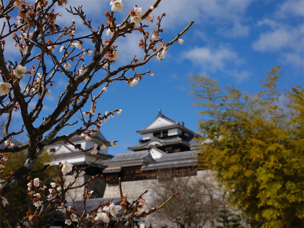 f:id:journey-neko:20260321141052j:image f:id:journey-neko:20260321141052j:image