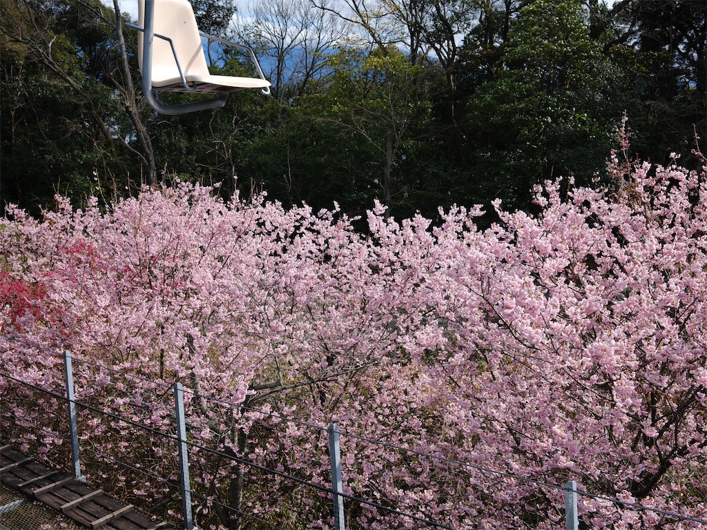 f:id:journey-neko:20260321141228j:image f:id:journey-neko:20260321141228j:image